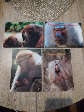 Carte postale Singe
