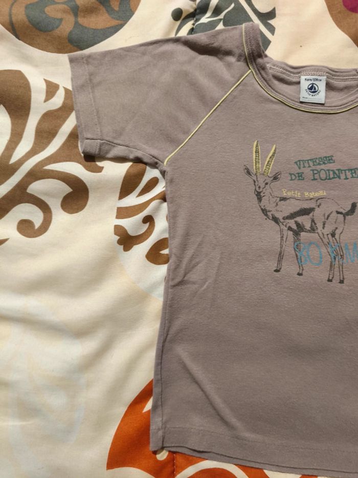 Tee shirt Petit Bateau 5 ans - photo numéro 2