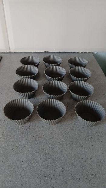 Moules a muffins