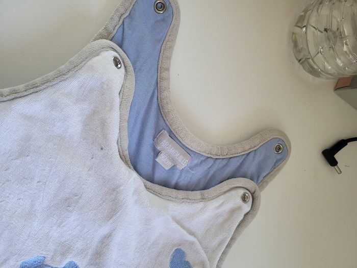 Gigoteuse grise - photo numéro 4