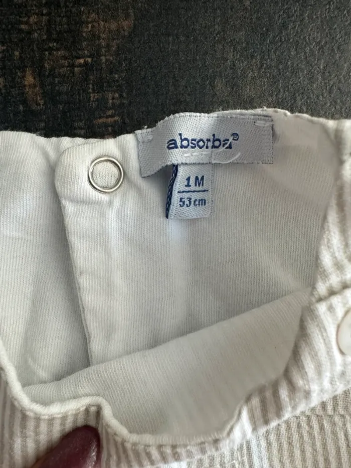 Barboteuse absorba - photo numéro 4