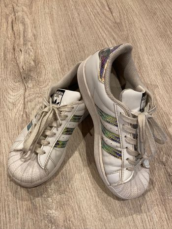 Baskets Adidas T.31