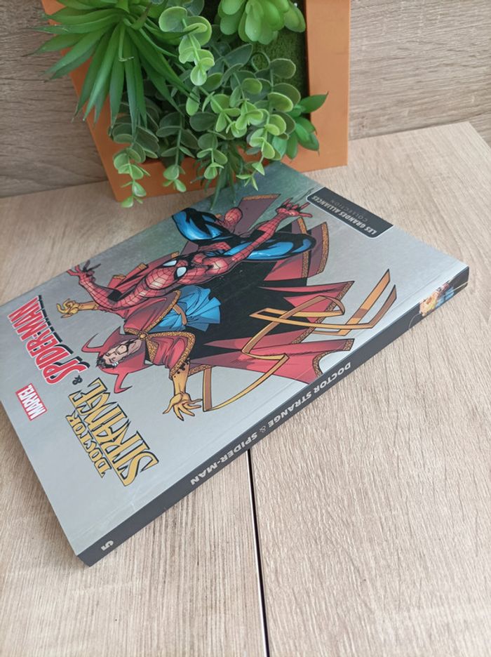Comics Album Marvel Doctor Strange & Spider-Man Panini - photo numéro 6