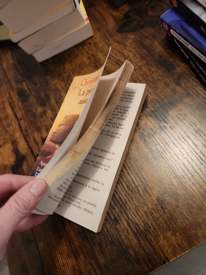 Livre : La pyramide assassinée - photo numéro 5