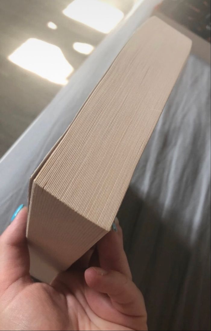 The devil’s sons tome 2 - photo numéro 7