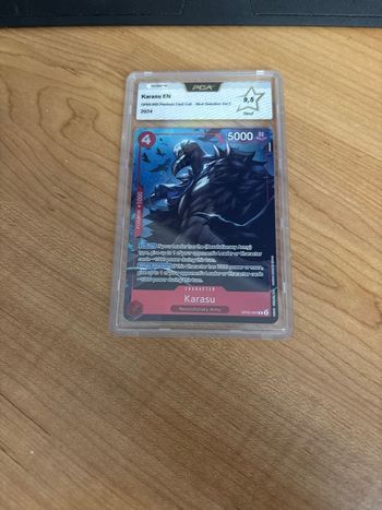 Karasu EN PCA 9,5