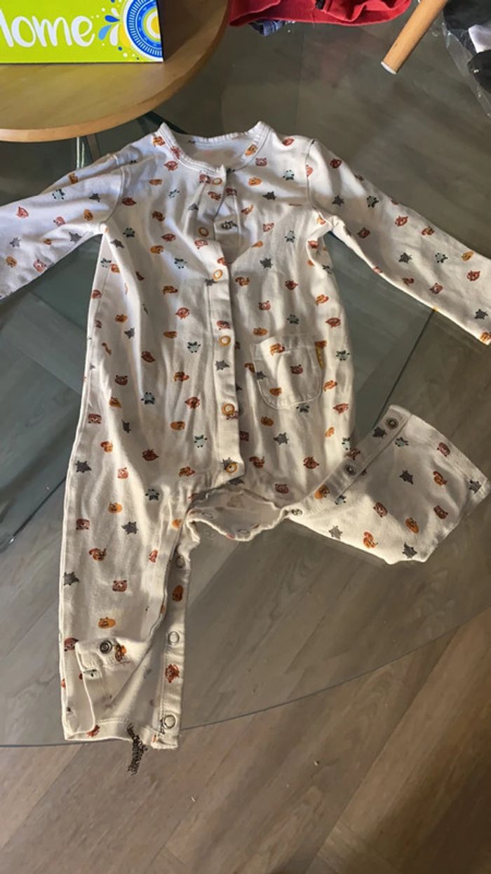 Grenouillère - photo numéro 2