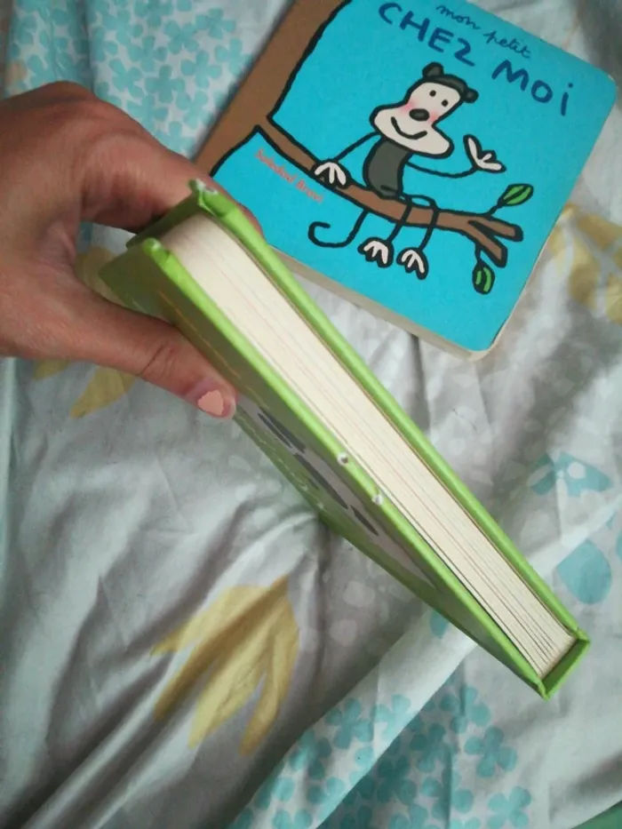 Lot de 8 livres pour bébé - photo numéro 12