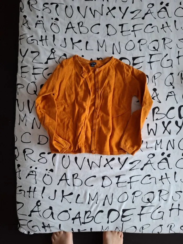 Gilets - photo numéro 6