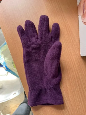 Gant violet femme