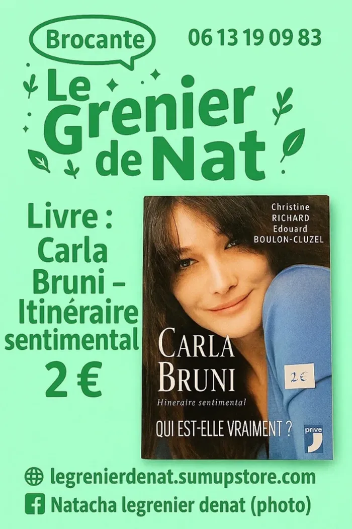 Livre carla bruni itinéraire sentimental