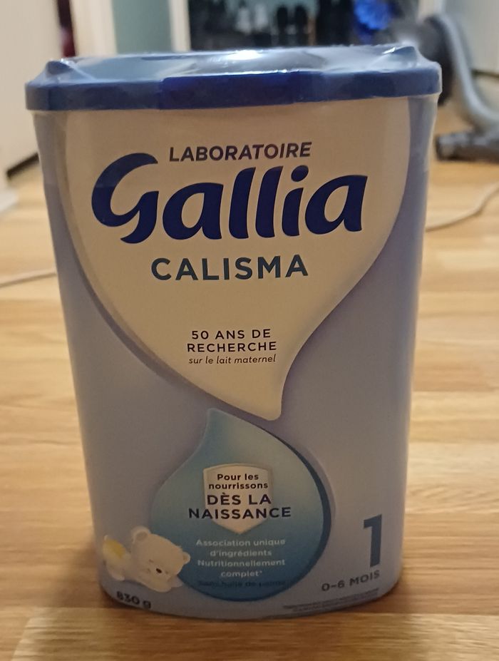 Gallia calisma 1