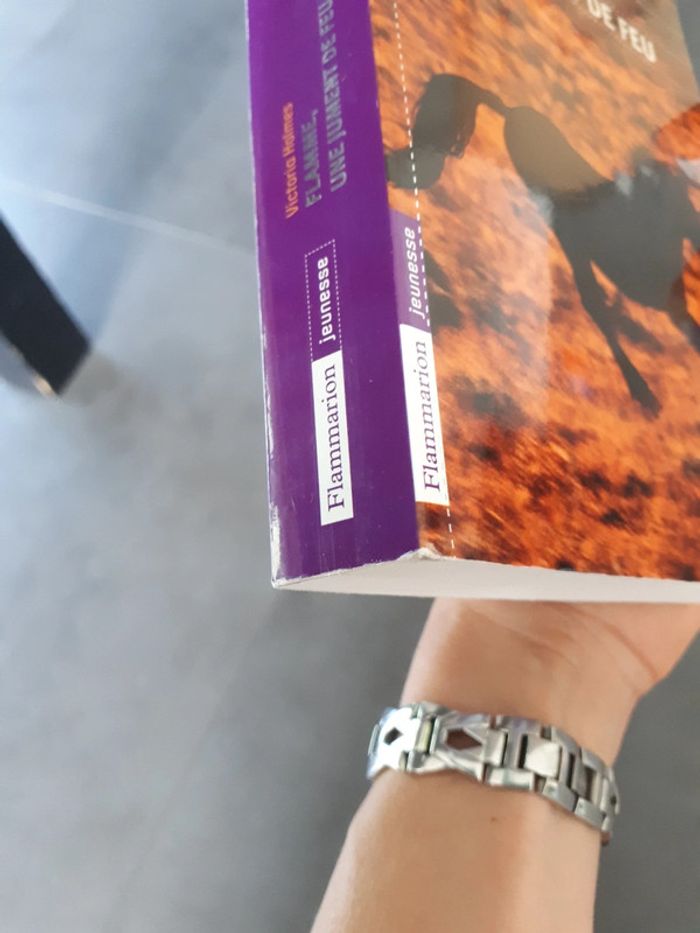 Flamme, une jument de feu, Victoria Holmes - photo numéro 4