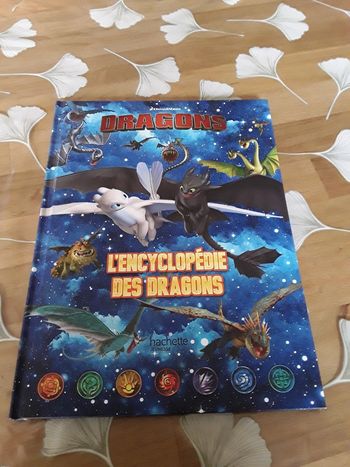Livre sur les dragons