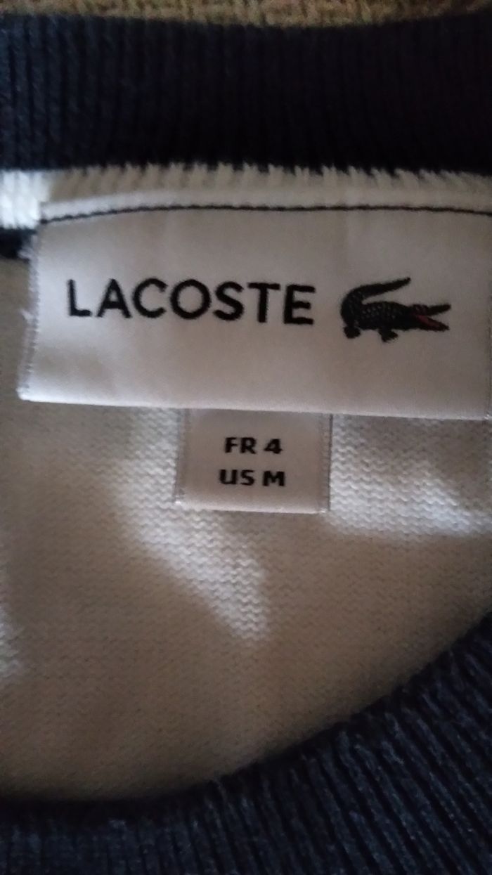 Sweat Lacoste - photo numéro 4