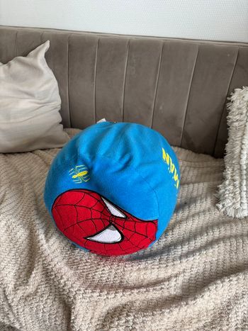 Coussin pouf 
