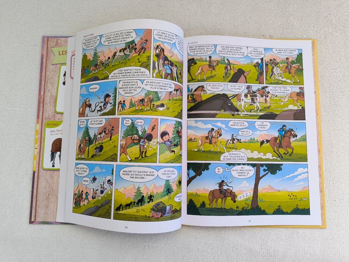 Livre À cheval 5 Delcourt - photo numéro 5