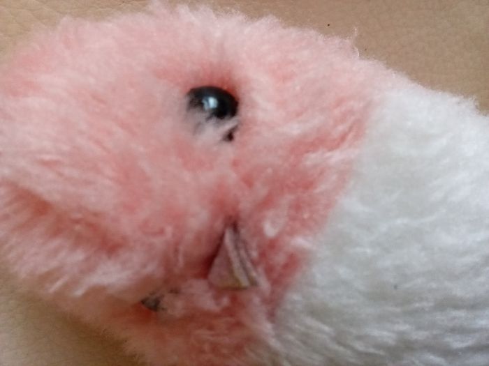 Peluche oiseau Boulgom doudou vintage ancien blanc et rose rayures rayé premier modèle d'occasion  le bruit est HS mécanisme présent intérieur tâche sur ruban - photo numéro 3