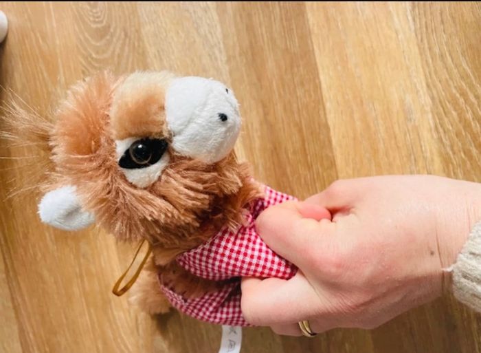 Peluche âne Île de Ré