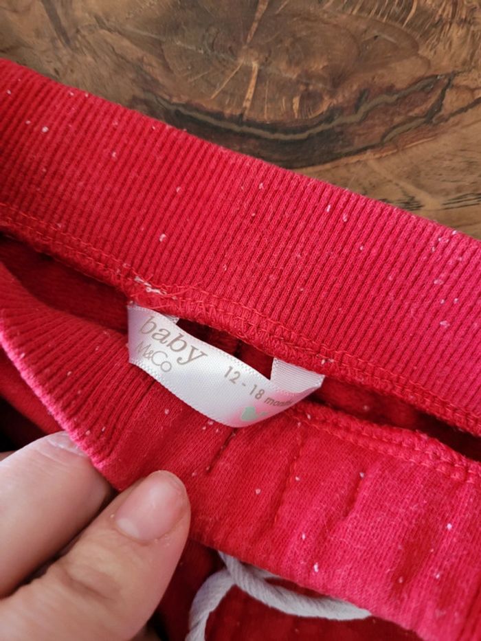 Ensemble - photo numéro 3