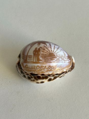 Coquillage gravé souvenir « Guadeloupe »
