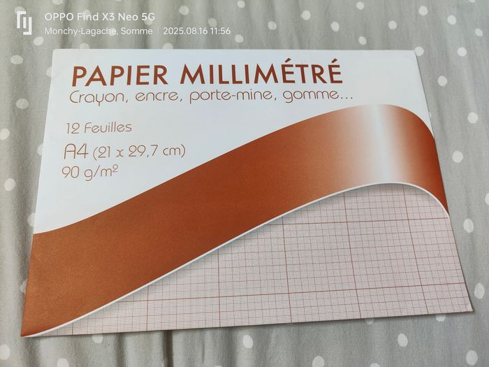 12 feuilles A4 21x29,7cm 90g/M2 papier millimétré
