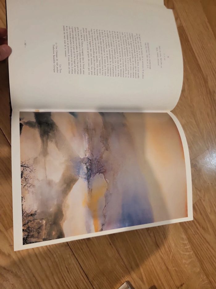 Zao wou ki claude roy - photo numéro 6