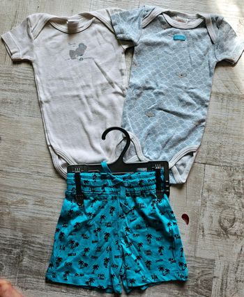 Lot bodys et short 6 mois