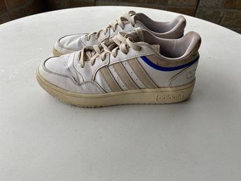 Basket Adidas