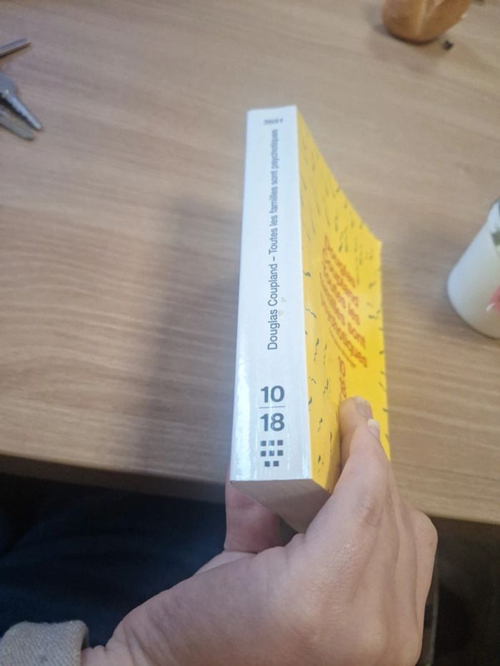 Livre roman familiale humour - photo numéro 2