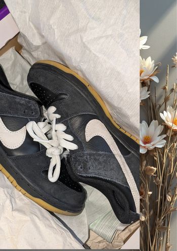 Nike Sb dunk low pro