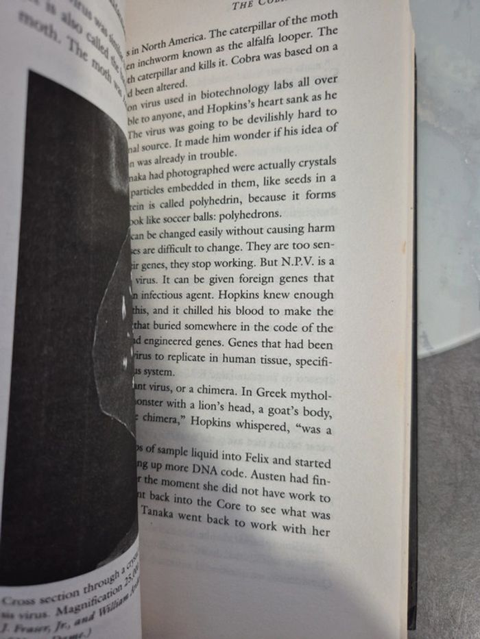 The cobra event - photo numéro 3