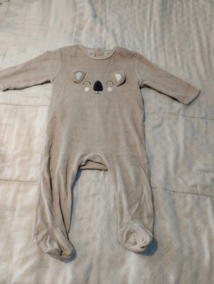 Grenouillère koala