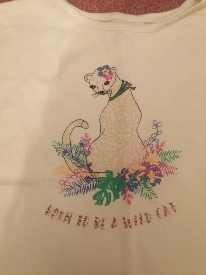 T shirt chat - photo numéro 3