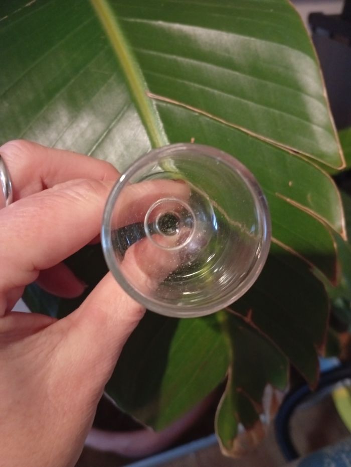 Verres liqueur - photo numéro 2