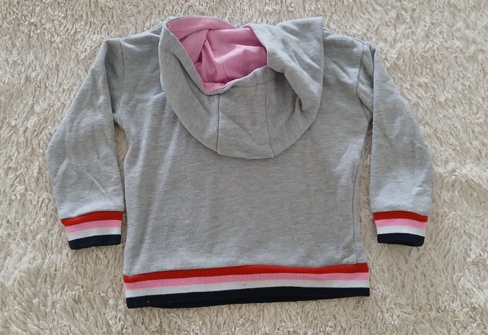 Sweat à capuche 3 ans - photo numéro 2