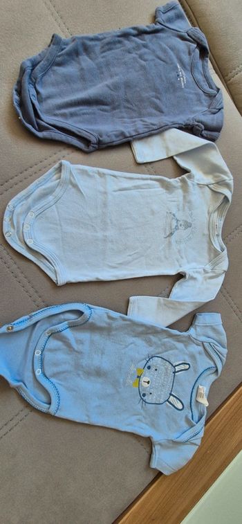 Lot 3 bodys absorba 6mois