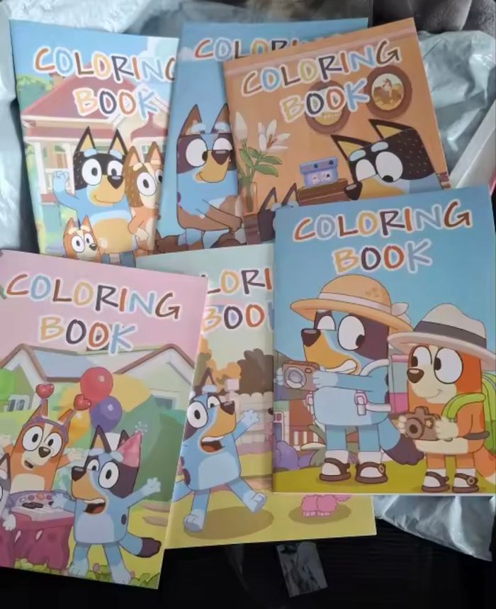 Lot 6 petits cahier coloriage bluey