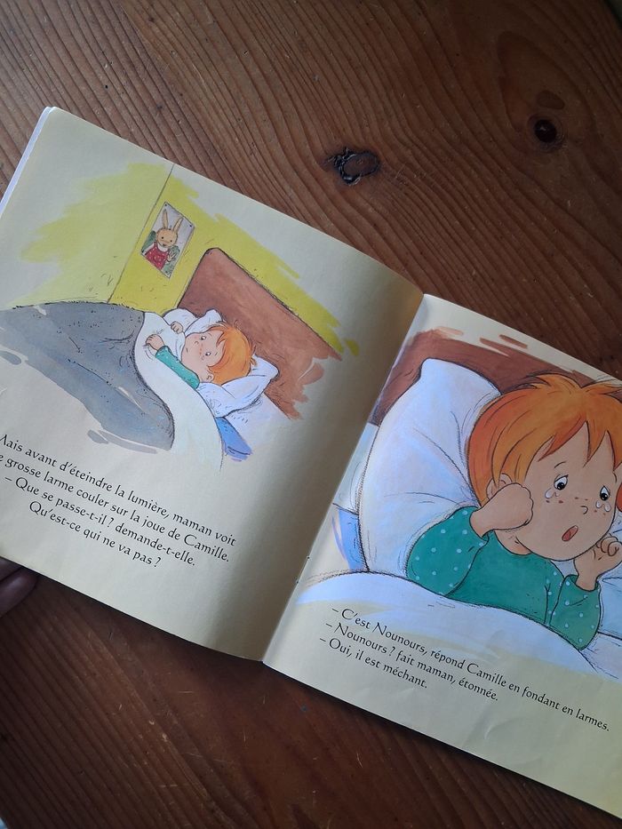 Livres enfants - Camille - Hemma - photo numéro 7