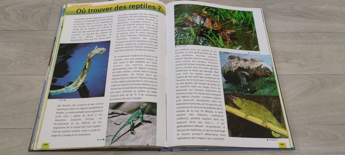 Livre - photo numéro 2