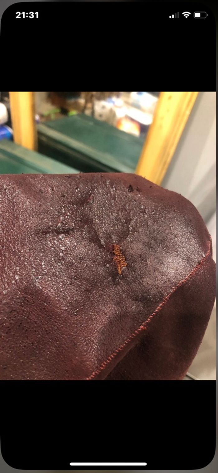 Manteaux - photo numéro 16