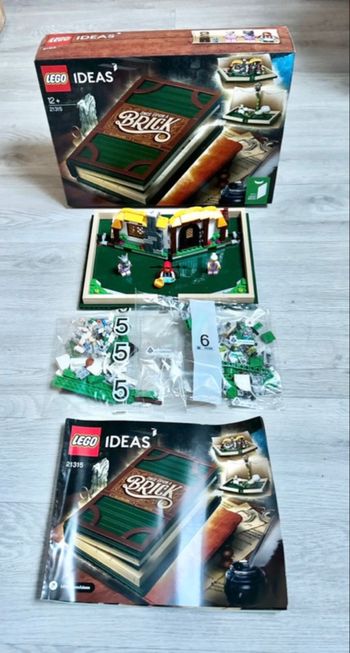 Lego Set Ideas : Livre Pop-Up (Réf. 21315)