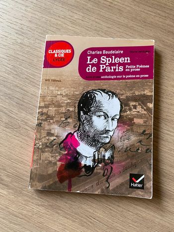 Le Spleen de Paris - Charles Baudelaire