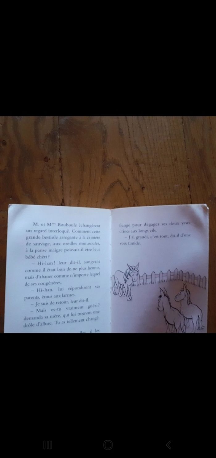 Je veux être un cheval Desarthe Agnès - photo numéro 3
