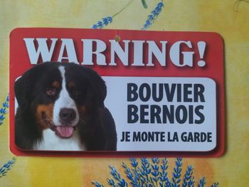 Pancarte attention au chien