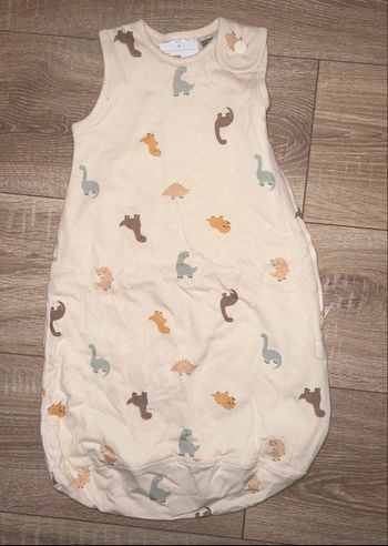 Gigoteuse dinosaures