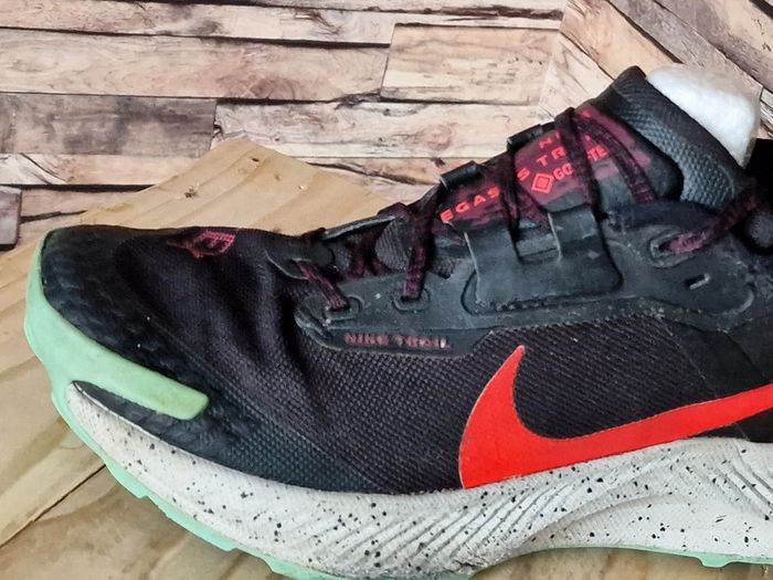 Baskets Pegasus Trail 3 GTX homme 42 - photo numéro 2