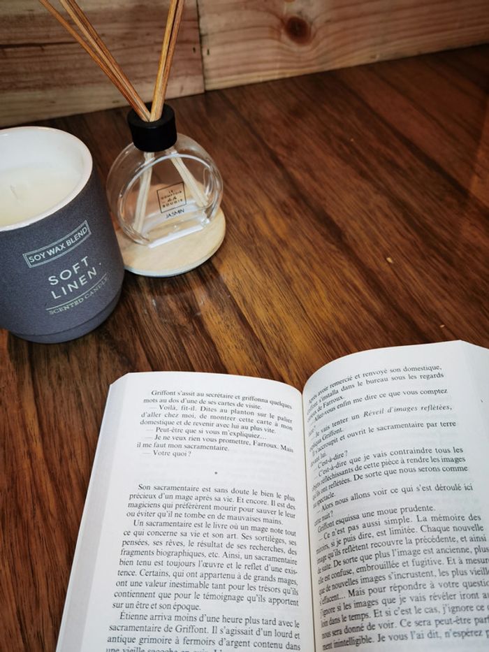 D2961 - livre "Les enchantements d’ambremer" - photo numéro 4