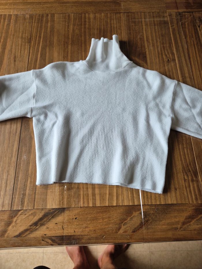Pull col roulé - photo numéro 2