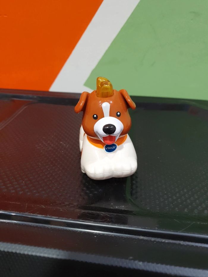 Le chien tout fou  toutou